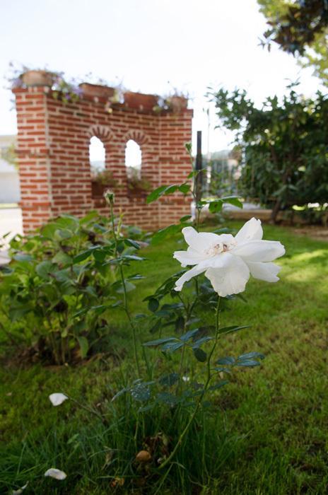 Rose E Merletti Casa de hóspedes Sasso Feltrio Exterior foto
